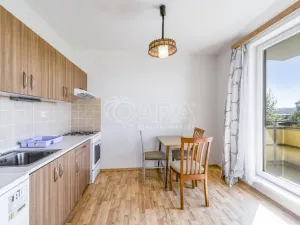 Pronájem bytu 1+kk, Klatovy - Klatovy III, Luční, 47 m2