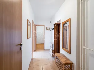 Pronájem bytu 1+kk, Klatovy - Klatovy III, Luční, 47 m2
