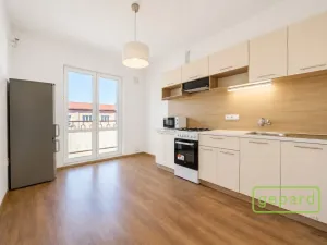 Prodej bytu 2+1, Ostrov, S. K. Neumanna, 70 m2