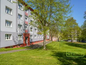 Prodej bytu 2+1, Ostrov, S. K. Neumanna, 70 m2