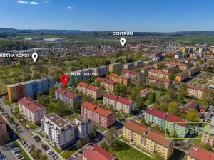 Prodej bytu 2+1, Ostrov, S. K. Neumanna, 70 m2