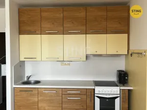 Pronájem bytu 1+kk, Ostrava, Plk. Rajmunda Prchaly, 29 m2