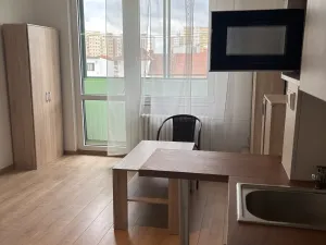 Pronájem bytu 1+kk, Hradec Králové, Brožíkova, 22 m2