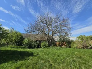 Prodej rodinného domu, Blanné, 150 m2