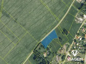 Prodej pole, Jílové u Držkova, 2976 m2