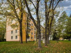 Pronájem bytu 1+1, Olomouc - Nová Ulice, Dělnická, 41 m2