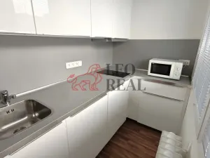 Pronájem bytu 1+kk, Praha - Podolí, Kaplická, 33 m2