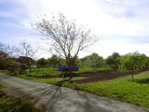 Prodej rodinného domu, Starý Poddvorov, 80 m2