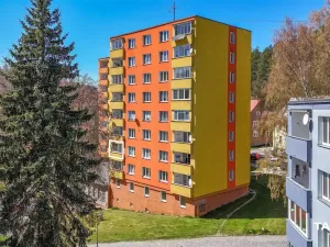 Prodej bytu 3+1, Žlutice, Vítězná, 66 m2