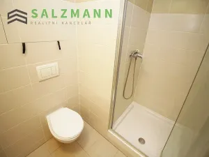 Pronájem bytu 1+kk, Plzeň, Nemocniční, 29 m2
