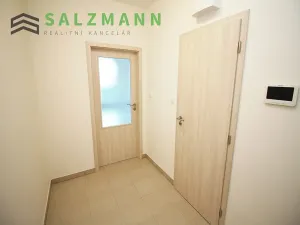 Pronájem bytu 1+kk, Plzeň, Nemocniční, 29 m2