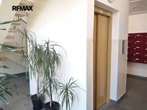 Pronájem bytu 4+kk, Praha - Nusle, Kotorská, 63 m2