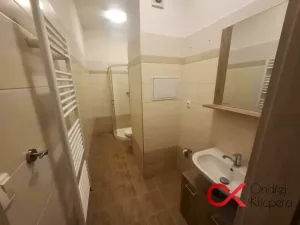 Pronájem bytu 1+kk, Milovice - Mladá, Slepá, 28 m2