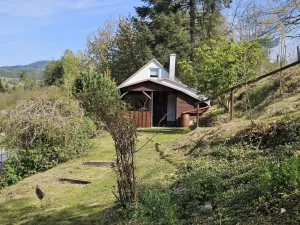 Prodej chaty, Dlouhá Ves, 60 m2