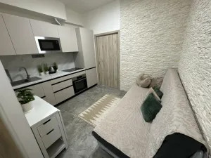 Pronájem bytu 2+kk, Praha - Nové Město, Sokolská, 23 m2