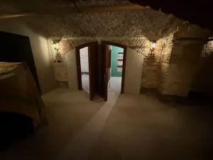 Pronájem obchodního prostoru, Praha - Nové Město, Rumunská, 200 m2