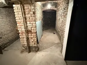 Pronájem obchodního prostoru, Praha - Nové Město, Rumunská, 200 m2