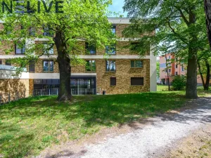 Pronájem bytu 2+kk, Plzeň, Bolevecká, 67 m2
