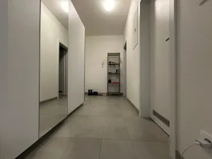 Pronájem bytu 1+kk, Praha - Karlín, Breitfeldova, 37 m2