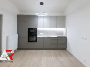 Prodej komerční nemovitosti, Brno, Jiráskova, 233 m2