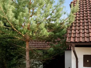 Prodej rodinného domu, Podmokly, 98 m2