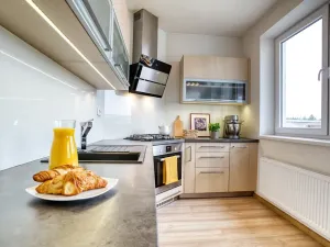 Prodej bytu 2+kk, Brno, Královopolská, 50 m2