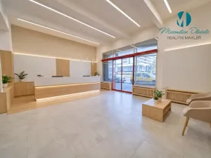Pronájem obchodního prostoru, Hradec Králové, S. K. Neumanna, 250 m2