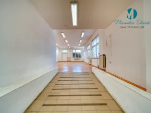 Pronájem obchodního prostoru, Hradec Králové, S. K. Neumanna, 250 m2