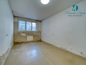 Pronájem obchodního prostoru, Hradec Králové, S. K. Neumanna, 250 m2