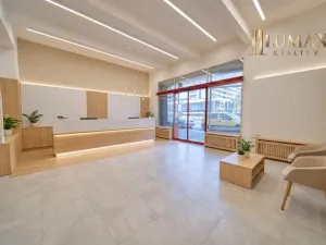 Pronájem obchodního prostoru, Hradec Králové, S. K. Neumanna, 250 m2