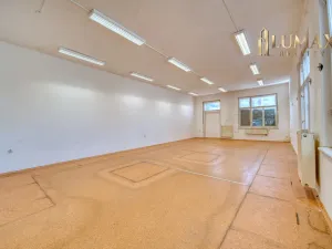Pronájem obchodního prostoru, Hradec Králové, S. K. Neumanna, 250 m2