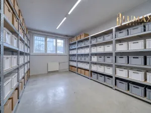Pronájem obchodního prostoru, Hradec Králové, S. K. Neumanna, 250 m2