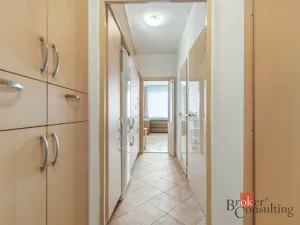 Pronájem bytu 1+kk, Praha - Braník, Nad lesním divadlem, 28 m2