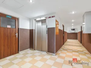 Pronájem bytu 1+kk, Praha - Braník, Nad lesním divadlem, 28 m2