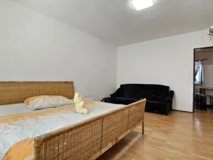 Pronájem bytu 1+1, Sebranice, 30 m2