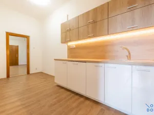 Pronájem bytu 3+1, Praha - Vinohrady, U Havlíčkových sadů, 100 m2