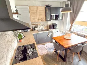 Prodej bytu 2+1, Znojmo, Sokolovská, 52 m2