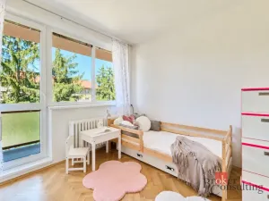 Prodej bytu 3+kk, Pardubice - Bílé Předměstí, Ke Kamenci, 84 m2
