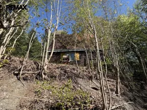 Prodej chaty, Týniště nad Orlicí - Štěpánovsko, 36 m2