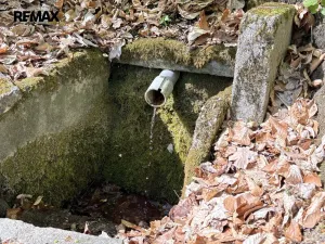 Prodej chaty, Týniště nad Orlicí - Štěpánovsko, 36 m2