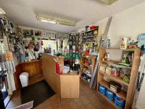 Prodej obchodního prostoru, Petrohrad - Černčice, 150 m2