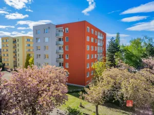 Pronájem bytu 1+kk, Hradec Králové - Moravské Předměstí, Vysocká, 33 m2