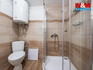 Pronájem bytu 1+kk, Březí, Jana Nepomuckého, 22 m2
