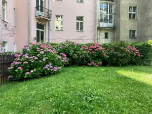 Pronájem bytu 1+1, Praha - Vinohrady, Polská, 44 m2