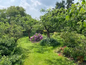 Prodej pozemku pro bydlení, Svojetice, 1034 m2