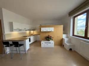 Pronájem bytu 1+kk, Praha - Malešice, Prorektorská, 32 m2