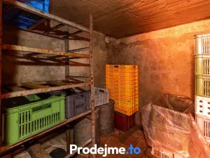 Prodej zahrady, Střelice, 589 m2
