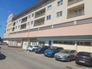 Prodej bytu 1+kk, Brno, Pálavské náměstí, 33 m2