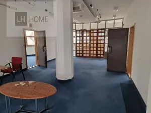 Pronájem komerční nemovitosti, Plzeň, 30 m2
