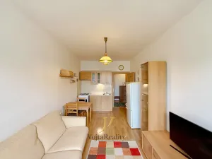 Pronájem bytu 2+kk, Olomouc, Gorazdovo nám., 43 m2